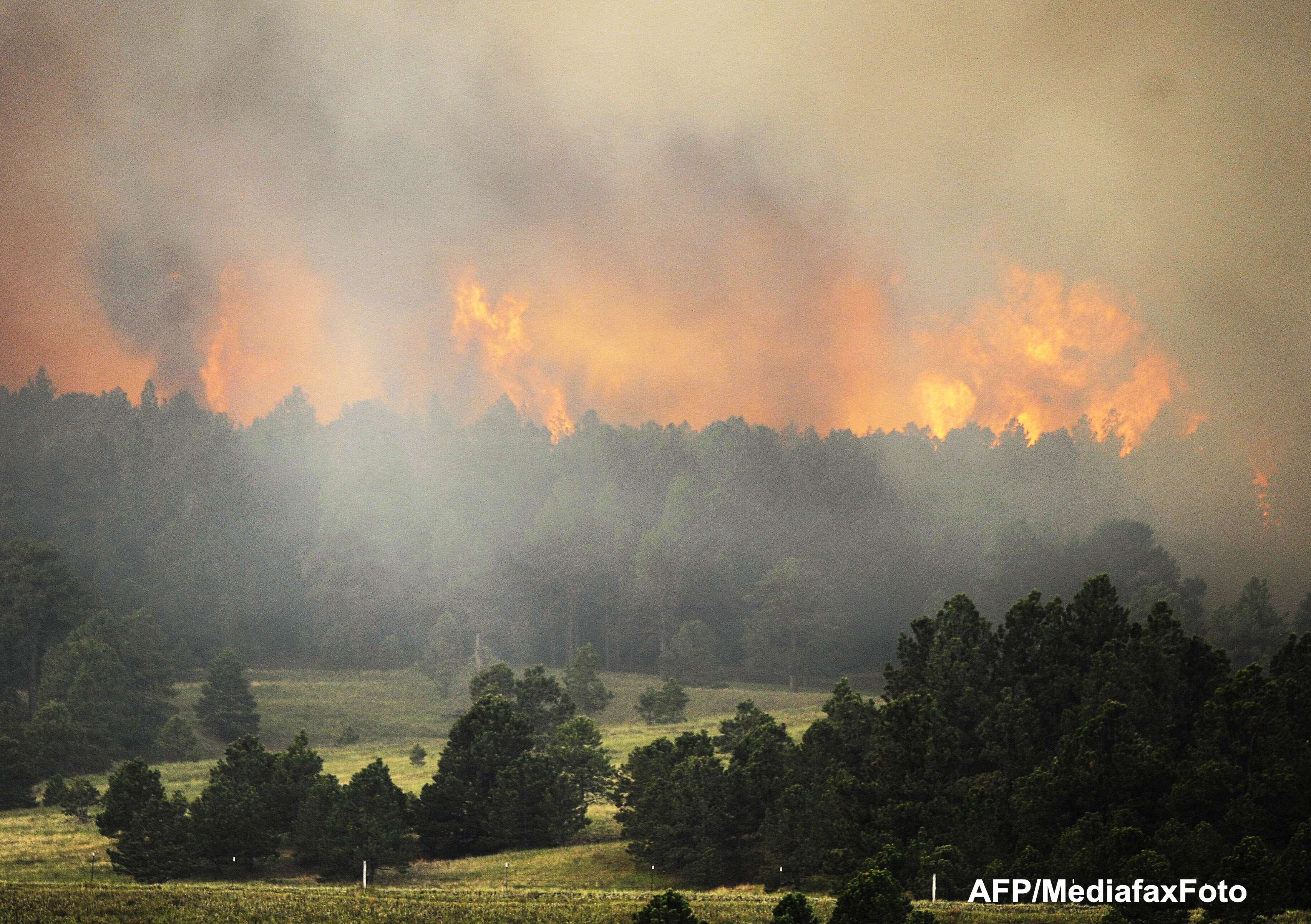 Mii de oameni au fost evacuati in statul american Colorado, din cauza incendiilor de vegetatie. FOTO