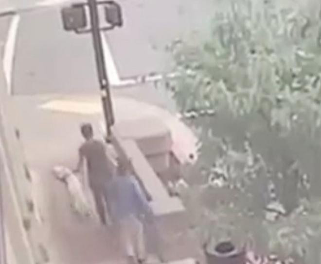 VIDEO. Catelul erou. Cum si-a salvat de la moarte stapanii, in ultima clipa