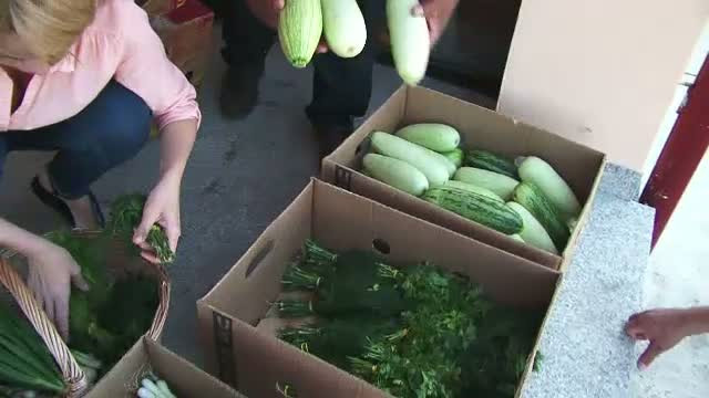 Cum s-au asigurat familiile din Oradea ca vor consuma doar legume crescute ca in gradina bunicilor