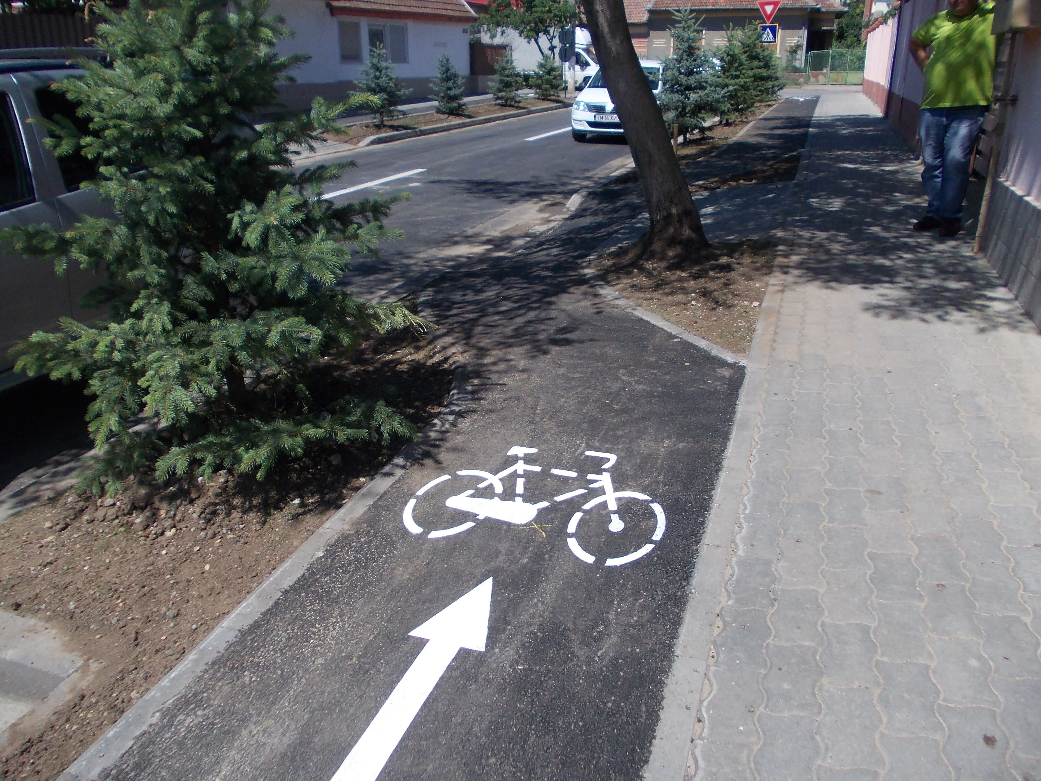 "Legea nucului", obstacolul din calea biciclistilor pe strada Brazilor din Timisoara. GALERIE FOTO