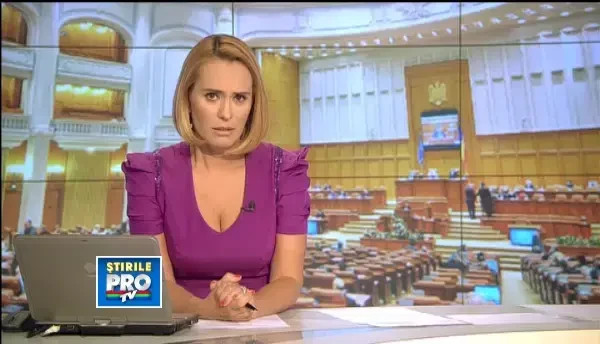 Liderii USL au convenit sa amane votul din Senat pe Constitutie pentru toamna