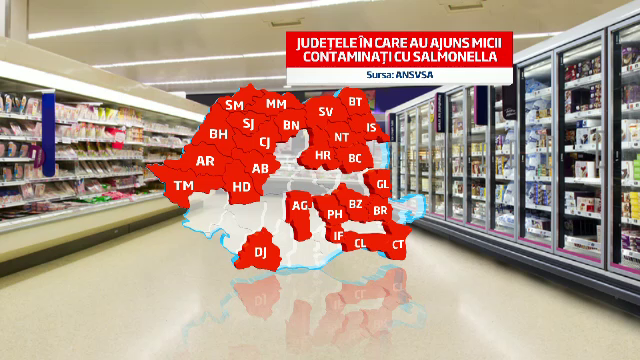 Rezultatele analizelor la micii cu salmonella: nu prezinta risc pentru sanatatea publica