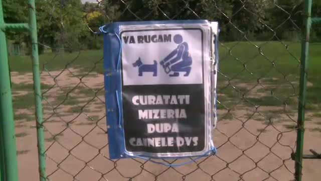 Cat de grav este infestat aerul din Bucuresti de dejectiile celor peste 50.000 de caini comunitari