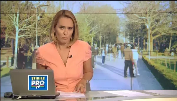 Maidanezii din Capitala produc un camion de dejectii pe zi. Ce risca stapanii ignoranti