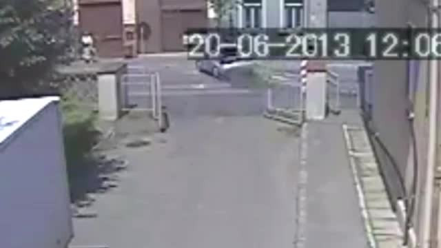 Concluzia politiei: Soferul de 91 de ani care a daramat un copac in Targu Mures conducea cu viteza