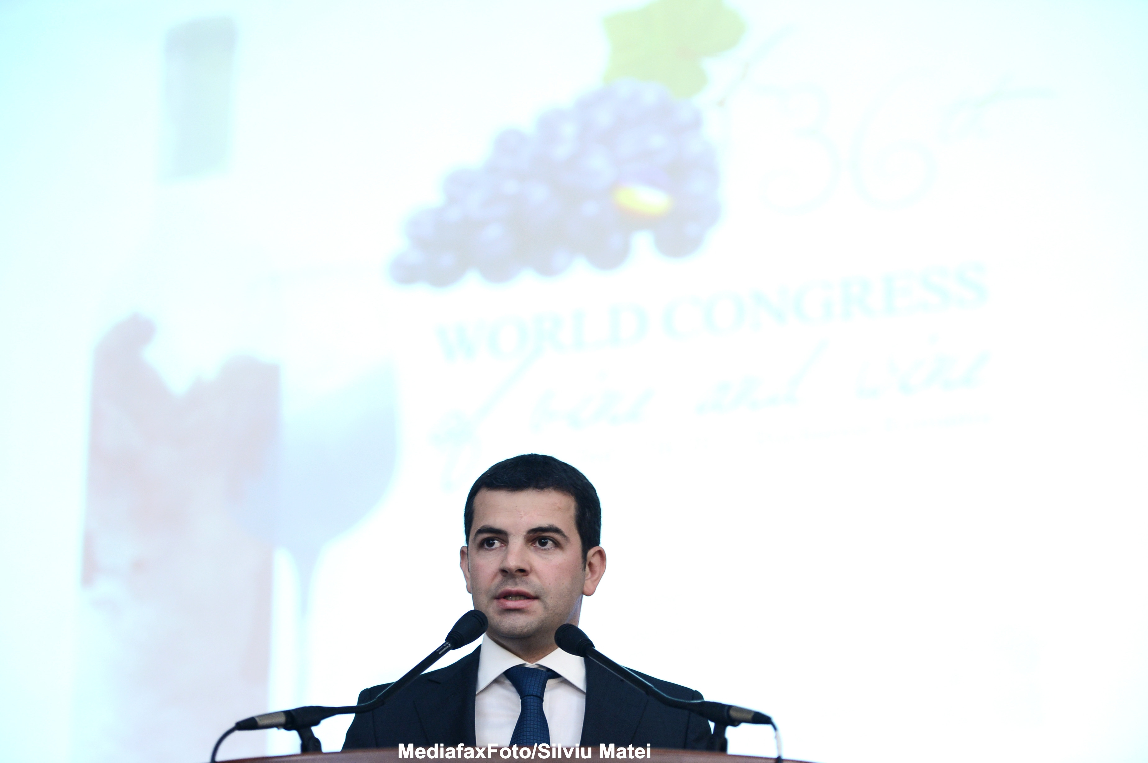 Guvernul incepe pregatirile pentru alegerile europarlamentare si referendum, pe 24 si 25 mai