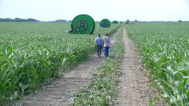 Lectia italienilor care fac profit dintr-o ferma distrusa de romani. Reguli si conditii "ca afara"