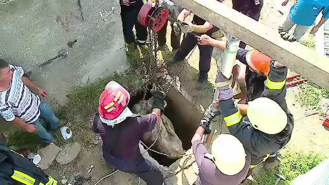 Operatiune dificila de salvare, dupa ce un cal a cazut intr-un canal de 3 metri adancime