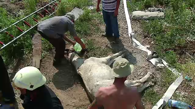 Misiune dificila de salvare in aceasta dimineata pentru pompierii din Bistrita