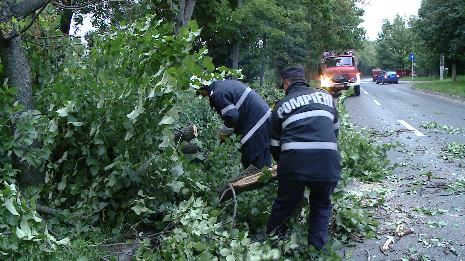 Codul galben de grindina, dezastru pentru vegetatie. Mai multi copaci au fost doborati la pamant