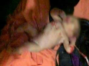 Politistii, ingroziti de ce au gasit in canalizarea unui bloc. "De doua zile auzeam zgomote bizare"