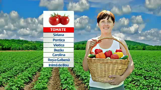 Rosiile din seminte romanesti, tot mai cautate de romani. Cum s-au adaptat cultivatorii cererii