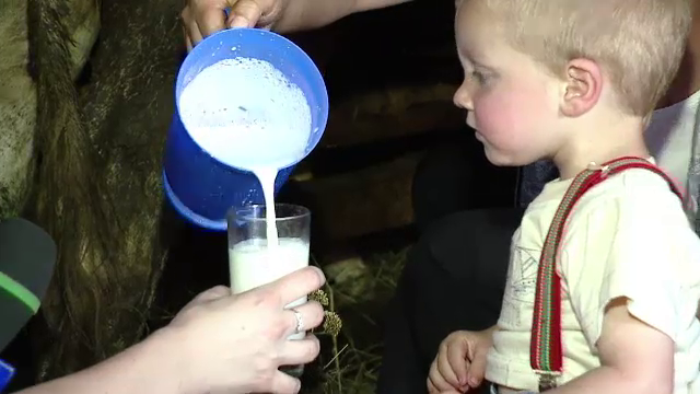 Proiectul unor americani a ajutat un sat de romani: obligatia familiilor care au primit cadou o vaca