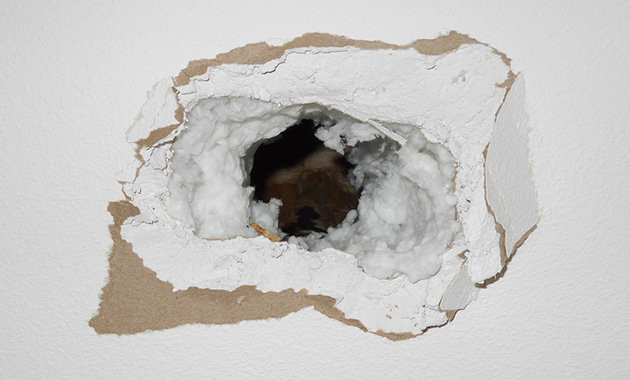 Obiectul misterios care i-a cazut prin acoperis unui barbat din Statele Unite. "Nu ne putem explica"