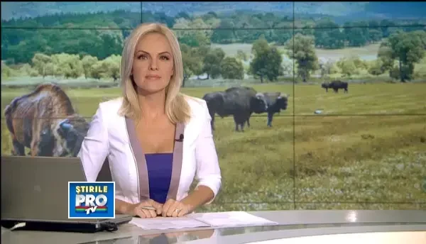 Rosalin, noua atractie in rezervata de zimbri din Tara Hategului. VIDEO