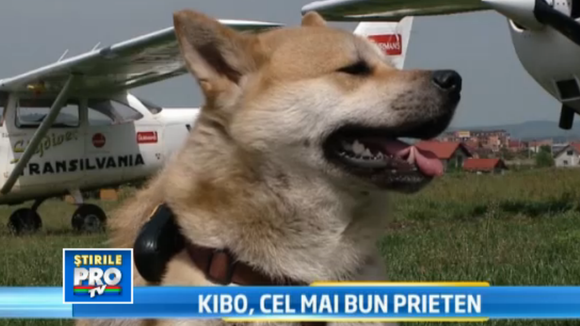 Unul dintre campionii parapantei din Cluj, vindecat dupa 6 ani de chin de un caine