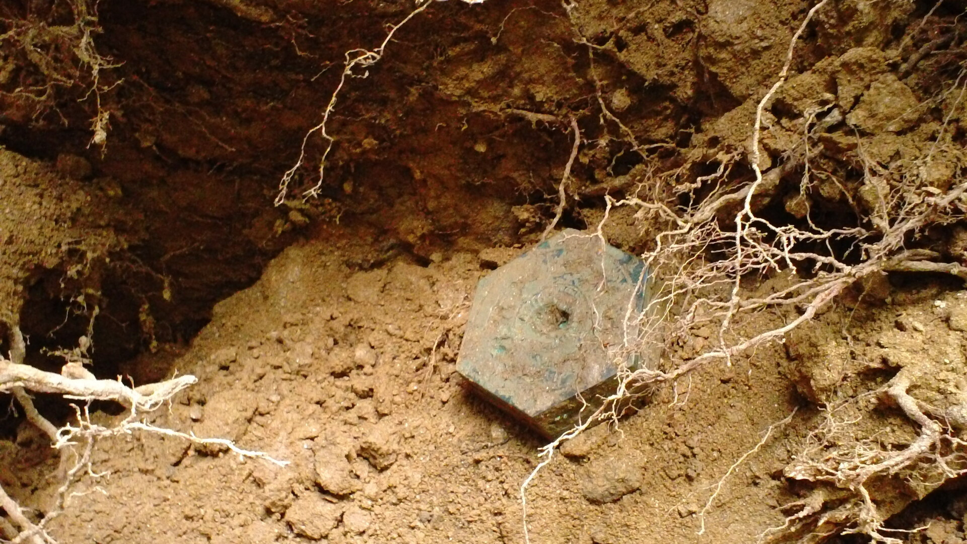 Descoperire pretioasa sub un fag dezradacinat, la Sarmizegetusa. "Piesa are o valoare inestimabila"