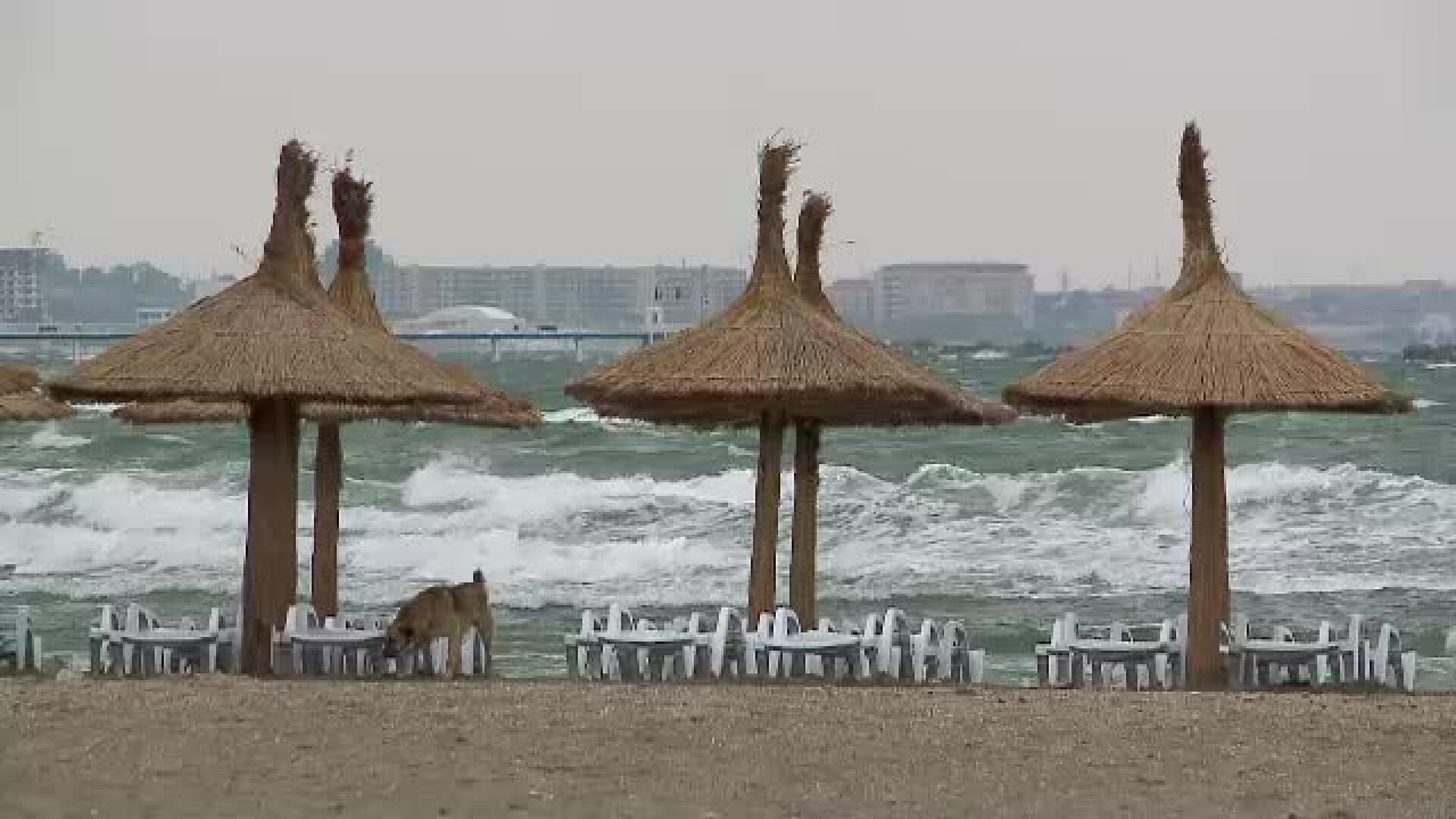 Valuri uriase in larg si furtuna pe litoral. Salvamarii au arborat steagul rosu la tarm