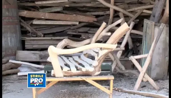 Un accident stupid l-a lasat infirm pe un adolescent de 16 ani din Satu Mare