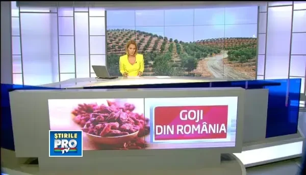 Fermierii au dat porumbul pe goji si migdale. Cum au devenit plantatiile exotice afaceri profitabile