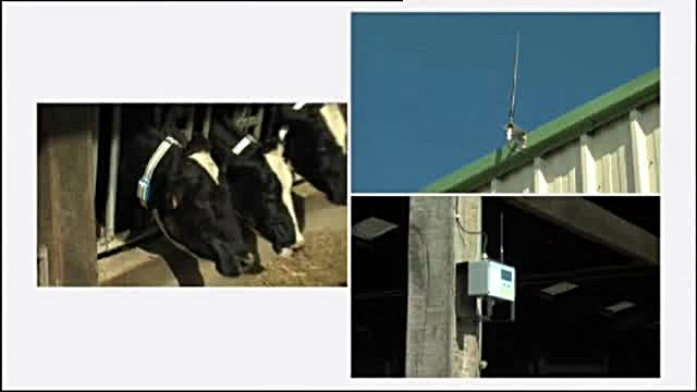 Fermierii din Germania au trecut la alt nivel. Primesc alerte prin SMS de la vacile lor