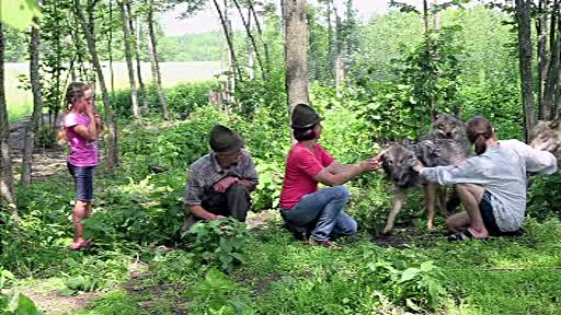O familie din Belarus traieste alaturi de 3 lupi: "Noaptea, ei raspund imediat la strigatul meu"