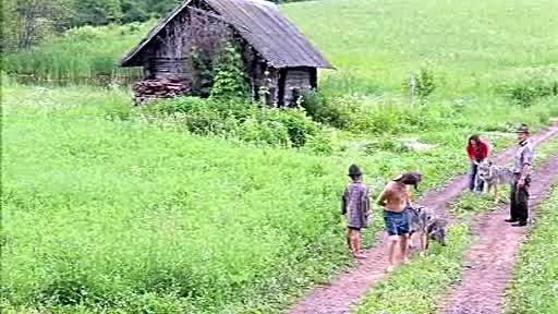 O familie din Belarus traieste alaturi de 3 lupi