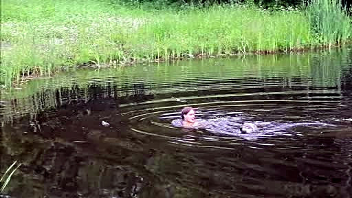 O familie din Belarus traieste alaturi de 3 lupi