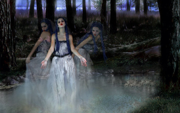 Un loc misterios langa Bucuresti: De ce "Balta Vrajitoarelor" atrage mii de turisti in fiecare an: