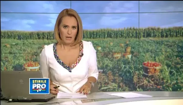 Efectul podului Calafat - Vidin. Cum a ajuns motiv de cearta intre fermierii romani si bulgari