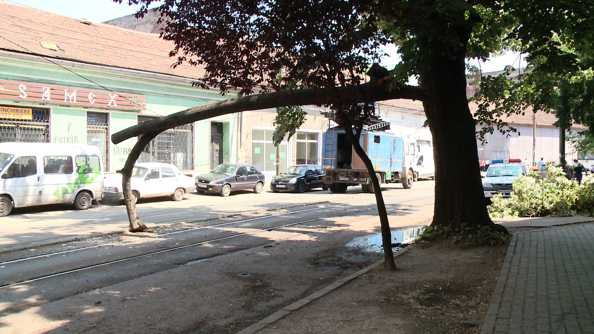 Urmari ale furtunilor din weekend: Robu, somat sa dispuna taierea copacilor cu pericol de prabusire