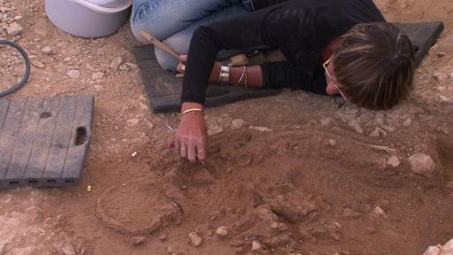 mormant paleolitic