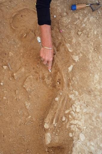 mormant paleolitic