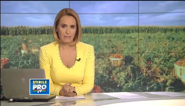 Agri-cultura dezastrului. Cum a ajuns super productia de rosii a Romaniei sa putrezeasca pe camp