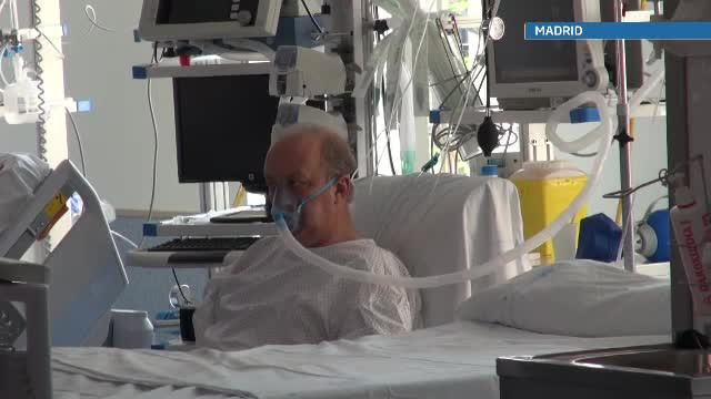 Organizatia Eurotransplant, sansa bolnavilor romani sa primeasca plamani sau o inima