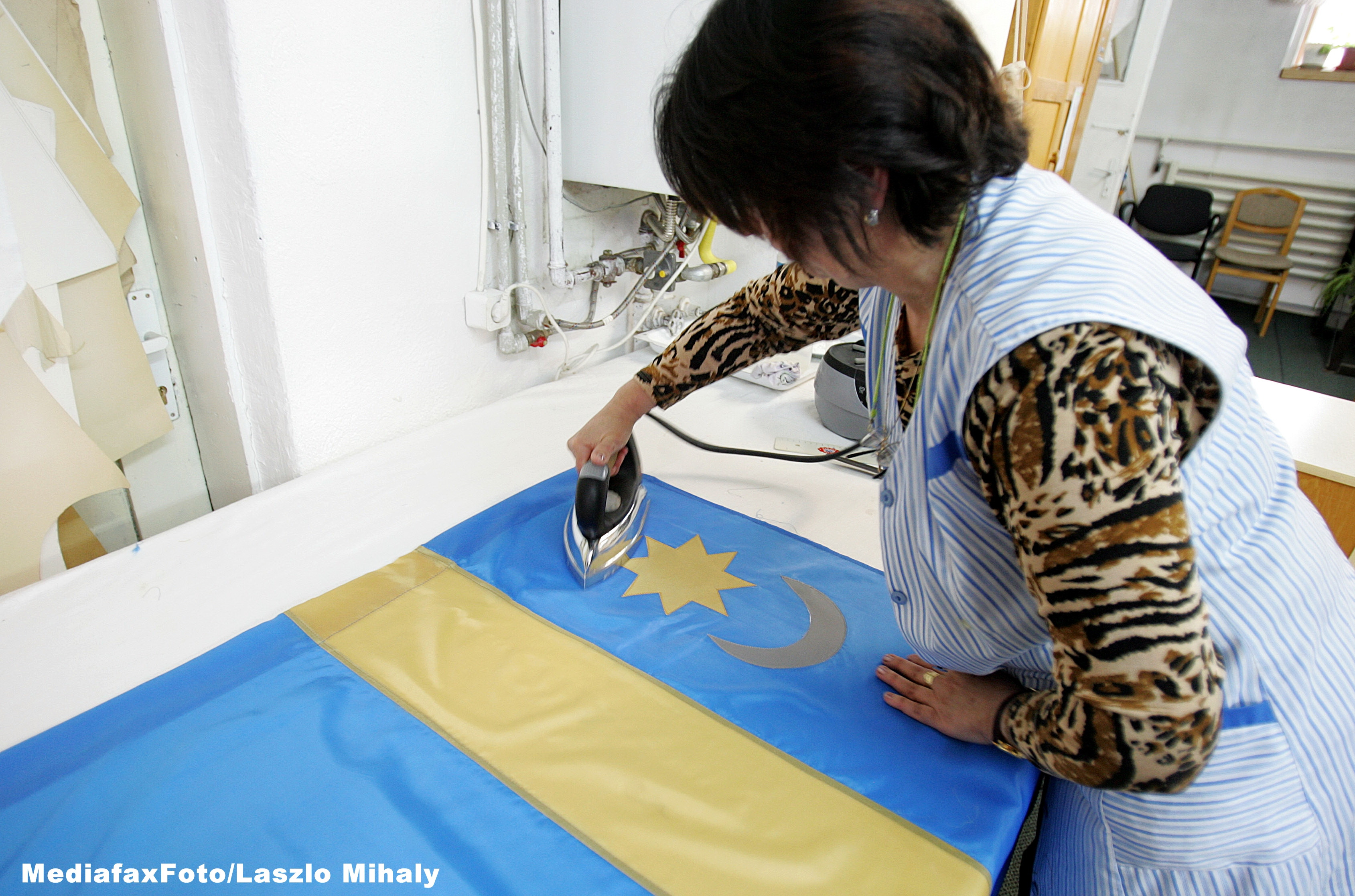 Liviu Dragnea a fost intampinat cu steaguri secuiesti si afise, in drumul spre Balvanyos