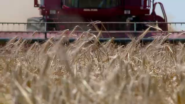 Lectia de afaceri predata de un agricultor francez in Romania. Cum a ajuns sa detina peste 3000 ha