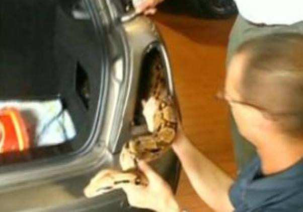 Cererea neobisnuita facuta de o femeie unui mecanic. Ce l-a pus sa-i scoata din masina