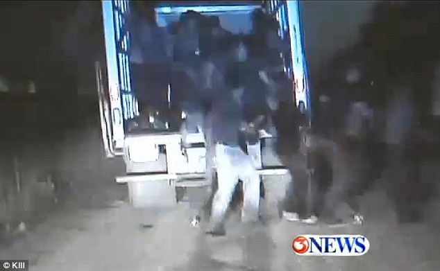 Scena incredibila la care politistii au fost spectatori. Nu au putut nici macar sa-i numere. VIDEO