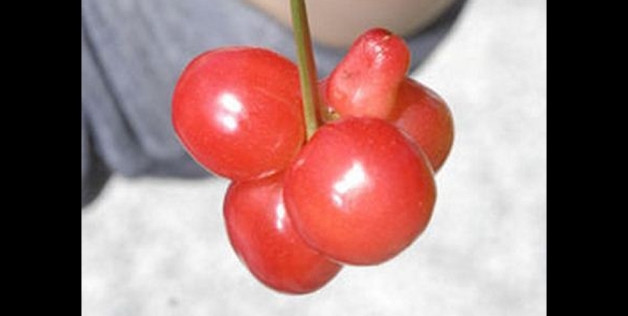 Balti cu apa puternic radioactiva au fost descoperite la centrala de la Fukushima