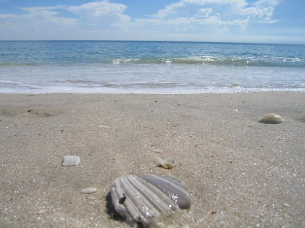 Comoara descoperita de un barbat in timp ce se plimba pe plaja. "Are o valoare inestimabila"