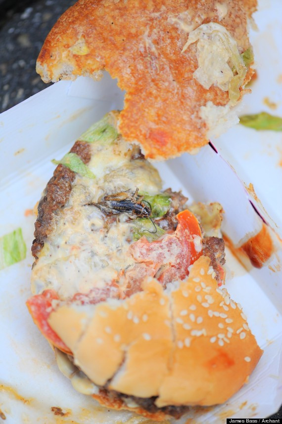 Ce a gasit un tanar in sandvisul cumparat de la McDonald's. "Ce Dumnezeu o mai fi si asta?"