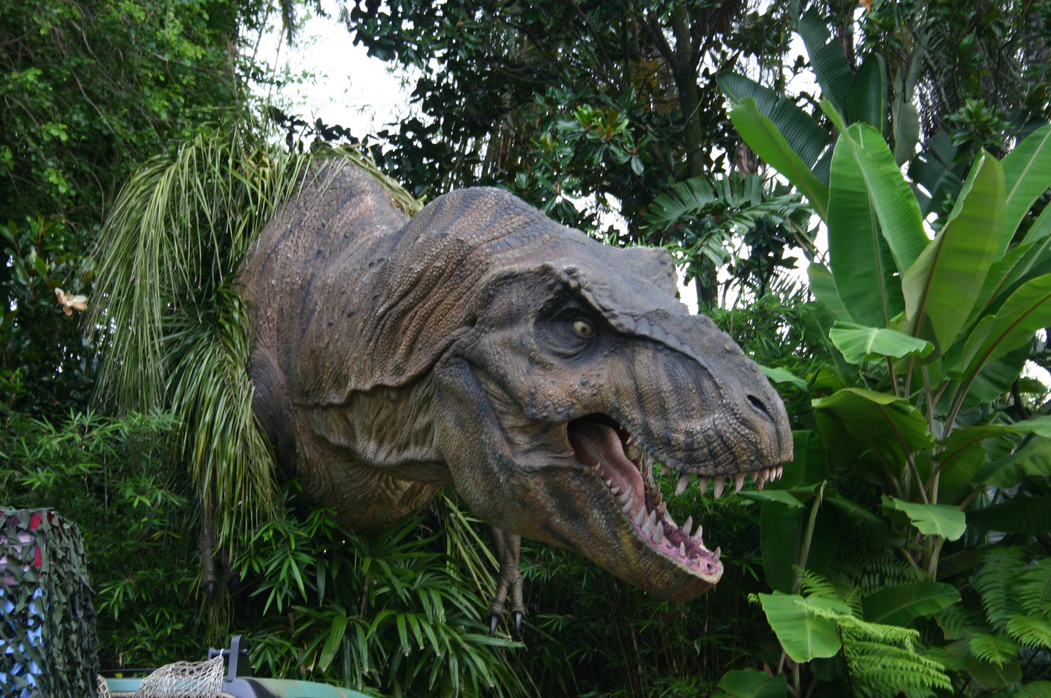 Aceasta este dovada care confirma faptul ca tiranozaurul era un pradator feroce