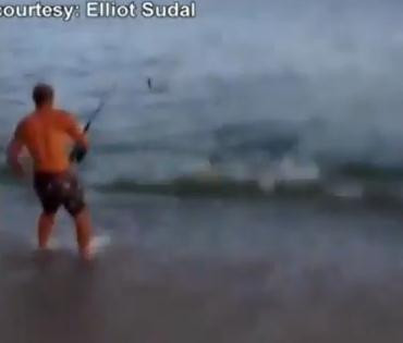 Era la pescuit, cand un rechin s-a prins in undita. Urmarea este de necrezut. VIDEO