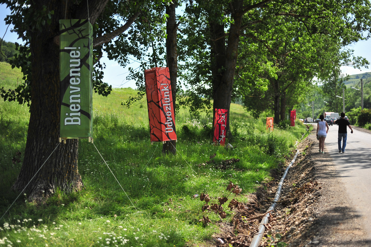 80.000 de spectatori sunt asteptati anul acesta la festivalul Peninsula