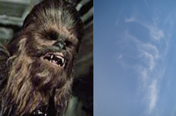 nor Chewbacca