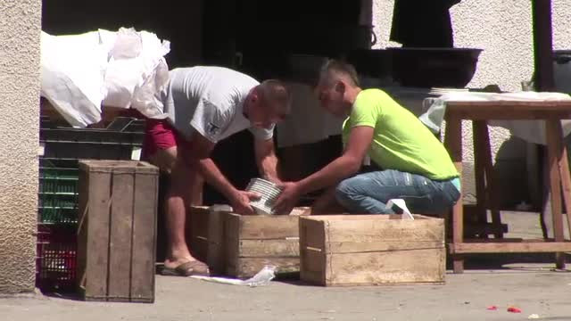 Mirele a lesinat la o nunta din Bistrita. Invitatii au inceput sa cada pe capete dupa aperitiv