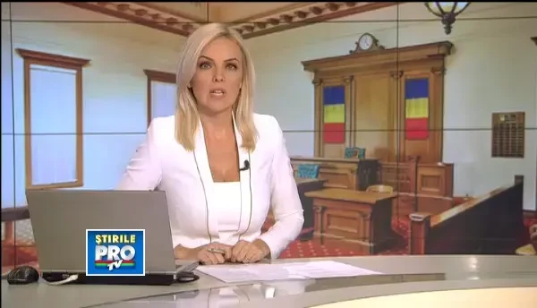 Tablourile furate din Olanda NU ar fi fost arse. Mama lui Radu Dogaru si-a schimbat declaratia