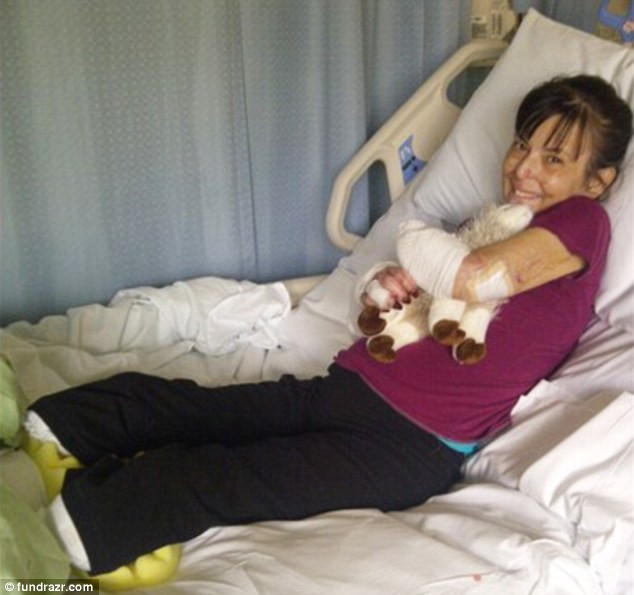 Un caine a muscat-o superficial, iar altul a lins rana. Urmarea a fost dramatica. FOTO