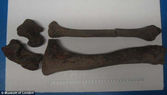 Ce au gasit arheologii intr-un sicriu dezgropat. "Nu ne asteptam la asta, nu avem nicio explicatie"